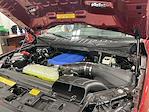 2025 Ford F-150 Super Crew 4x4 Shelby Super Snake Premium Performance Truck for sale #1FTFW5L51SFA21193 - photo 1