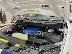 2025 Ford F-150 Super Crew 4x4 Shelby Super Snake Premium Performance Truck for sale #1FTFW5L51SFA49222 - photo 1