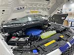 2025 Ford F-150 Super Crew 4x4 Shelby Super Snake Premium Performance Truck for sale #1FTFW5L51SFA49222 - photo 3