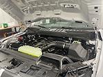 2025 Ford F-150 Super Crew 4x4 Shelby Super Snake Premium Performance Truck for sale #1FTFW5L57SFA21313 - photo 1