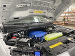 2025 Ford F-150 Super Crew 4x4 Shelby Off-Road Premium Lifted Truck for sale #1FTFW5L58SFA50237 - photo 3