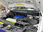 2025 Ford F-150 Super Crew 4x4 Shelby Super Snake Premium Performance Truck for sale #1FTFW5L59SFA49548 - photo 1