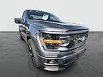 2025 Ford F-150 Regular Cab 4x2 Lowered Black Widow Premium Lifted Truck for sale #1FTMF1K50SKD45406 - photo 1