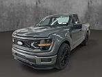 2025 Ford F-150 Regular Cab 4x2 Lowered Black Widow Premium Lifted Truck for sale #1FTMF1K50SKD48046 - photo 1