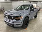 2025 Ford F-150 Regular Cab 4x2 Lowered Black Widow Premium Lifted Truck for sale #1FTMF1K51SKD47102 - photo 10