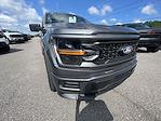2025 Ford F-150 Regular Cab 4x2 Lowered Black Widow Premium Lifted Truck for sale #1FTMF1K52SKD48064 - photo 10