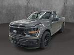 2025 Ford F-150 Regular Cab 4x2 Lowered Black Widow Premium Lifted Truck for sale #1FTMF1K53SKD48798 - photo 1