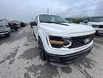 2025 Ford F-150 Regular Cab 4x2 Lowered Black Widow Premium Lifted Truck for sale #1FTMF1K54SKD48311 - photo 10