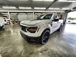2025 Ford F-150 Regular Cab 4x2 Lowered Black Widow Premium Lifted Truck for sale #1FTMF1K55SKD47832 - photo 4