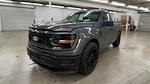 2025 Ford F-150 Regular Cab 4x2 Lowered Black Widow Premium Lifted Truck for sale #1FTMF1K55SKD49273 - photo 4