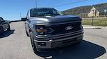 2025 Ford F-150 Regular Cab 4x2 Lowered Black Widow Premium Lifted Truck for sale #1FTMF1K58SKD44570 - photo 6