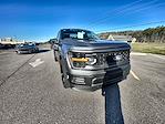 2025 Ford F-150 Regular Cab 4x2 Lowered Black Widow Premium Lifted Truck for sale #1FTMF1K58SKD46626 - photo 10