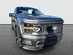 2025 Ford F-150 Regular Cab 4x2 Lowered Black Widow Premium Lifted Truck for sale #1FTMF1K58SKD46626 - photo 1