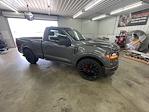 2025 Ford F-150 Regular Cab 4x2 Lowered Black Widow Premium Lifted Truck for sale #1FTMF1K58SKD48067 - photo 2
