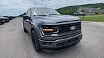 2025 Ford F-150 Regular Cab 4x2 Lowered Black Widow Premium Lifted Truck for sale #1FTMF1K59SKD45582 - photo 6