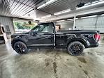 2025 Ford F-150 Regular Cab 4x4 Lowered Black Widow Premium Lifted Truck for sale #1FTMF1L52SKE58966 - photo 5