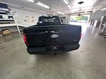 2025 Ford F-150 Regular Cab 4x4 Lowered Black Widow Premium Lifted Truck for sale #1FTMF1L53SKD92914 - photo 7