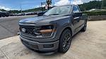 2025 Ford F-150 Regular Cab 4x4 Lowered Black Widow Premium Lifted Truck for sale #1FTMF1L55SKE05047 - photo 4