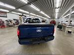 2024 Ford F-150 Regular Cab 4x4 Lowered Black Widow Premium Lifted Truck for sale #1FTMF1L59RKF44897 - photo 7