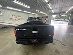 2025 Ford F-150 Regular Cab 4x4 Lowered Black Widow Premium Lifted Truck for sale #1FTMF1L5XSKE58732 - photo 7