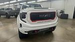 2025 GMC Sierra 1500 Crew 4x4 Harley-Davidson Premium Lifted Truck for sale #1GTUUEEL6SZ235619 - photo 3