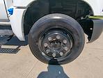 New 2023 Chevrolet Silverado 5500 LT Regular Cab Cab Chassis for sale #PH707380 - photo 25