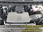 New 2024 Chevrolet Silverado 1500 RST Crew Cab for sale #244684 - photo 59