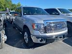 2014 Ford F-150 SuperCrew Cab 4x4 Pickup for sale #103044A - photo 3