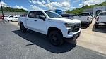 2025 Chevrolet Silverado 1500 Crew Cab 4WD Pickup for sale #328753 - photo 3