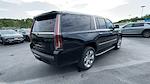 2020 Cadillac Escalade ESV 4WD SUV for sale #376165A - photo 12