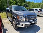 2012 Ford F-150 SuperCrew Cab 4x4 Pickup for sale #698480AA - photo 3
