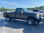2015 Ford F-250 Regular Cab 4x4 Pickup for sale #736848AA - photo 3