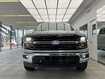 2024 Ford F-150 SuperCrew Cab 4x4 Pickup for sale #24F420 - photo 3
