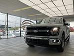 2024 Ford F-150 SuperCrew Cab 4x4 Pickup for sale #24F420 - photo 4