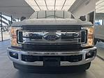 2019 Ford F-250 Regular Cab 4x4 Pickup for sale #A53210 - photo 3