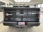 Used 2010 Ford F-150 Platinum SuperCrew Cab for sale #A53309 - photo 6