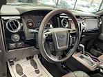 Used 2010 Ford F-150 Platinum SuperCrew Cab for sale #A53309 - photo 8