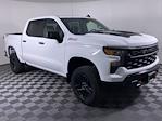 2025 Chevrolet Silverado 1500 Crew Cab 4WD Pickup for sale #V577120 - photo 19