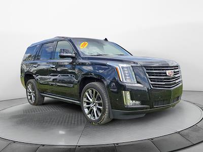 2020 Cadillac Escalade 4WD SUV for sale #4245362 - photo 1