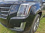 2020 Cadillac Escalade 4WD SUV for sale #4245362 - photo 9