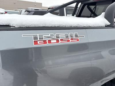 Used 2019 Chevrolet Silverado 1500 - photo 1