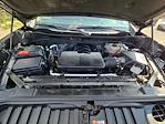 2024 Chevrolet Silverado 1500 Crew Cab 4x4 Pickup for sale #4287604 - photo 39