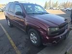 2004 Chevrolet Trailblazer 4WD SUV for sale #4290575 - photo 4