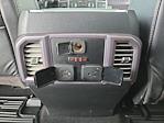 2020 Ford F-450 Crew Cab DRW 4x4 Pickup for sale #4C10144 - photo 3