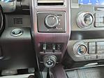 2020 Ford F-450 Crew Cab DRW 4x4 Pickup for sale #4C10144 - photo 29
