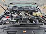 2020 Ford F-450 Crew Cab DRW 4x4 Pickup for sale #4C10144 - photo 41