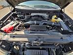 2014 Ford F-150 SuperCrew Cab 4WD Pickup for sale #8C44022 - photo 34