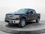 2014 Ford F-150 SuperCrew Cab 4x4 Pickup for sale #4C44022 - photo 2