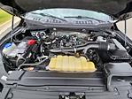 2019 Ford F-150 SuperCrew Cab 4x4 Pickup for sale #4C87919 - photo 36