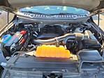 2015 Ford F-150 SuperCrew Cab 4x4 Pickup for sale #4D10151 - photo 39